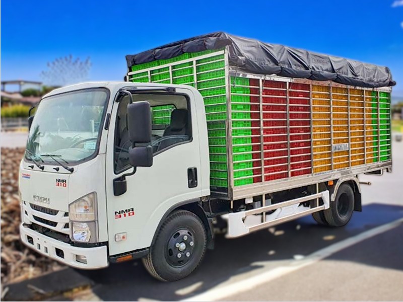 xe-tai-cho-gia-cam-isuzu-nmr85he4-1-8-tan-ngoai-that