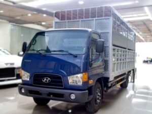 XE TẢI CHỞ GIA SÚC HYUNDAI MIGHTY HD110XL 6 TẤN