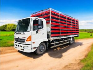 XE TẢI HINO CHỞ GIA CẦM FC9JLTC 5.4 TẤN