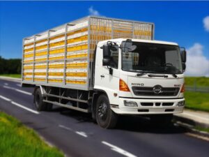 XE TẢI HINO FC9JNTC CHỞ GIA CẦM 5.2 TẤN