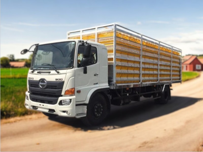 XE TẢI HINO FG8JP7A 6.5 TẤN THÙNG CHỞ GÀ VỊT - Ảnh 4