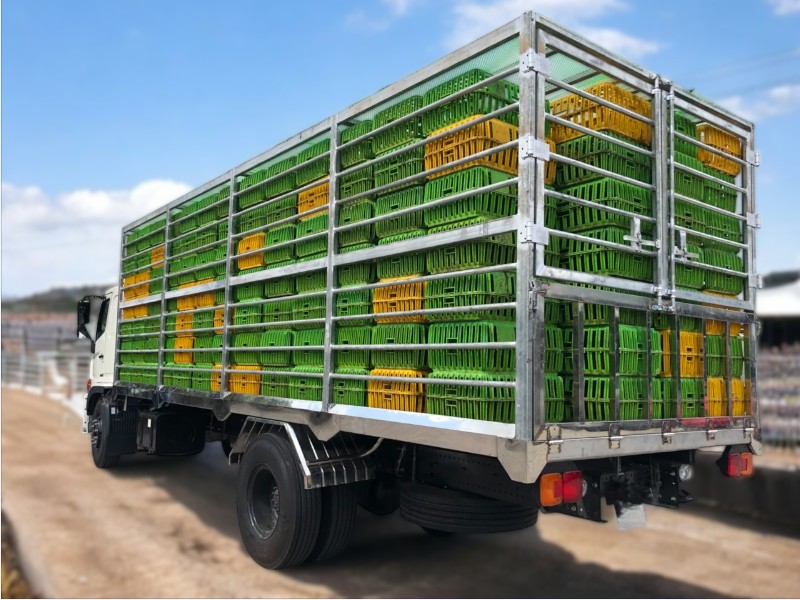 XE TẢI HINO FG8JP7A 6.5 TẤN THÙNG CHỞ GÀ VỊT - Ảnh 2