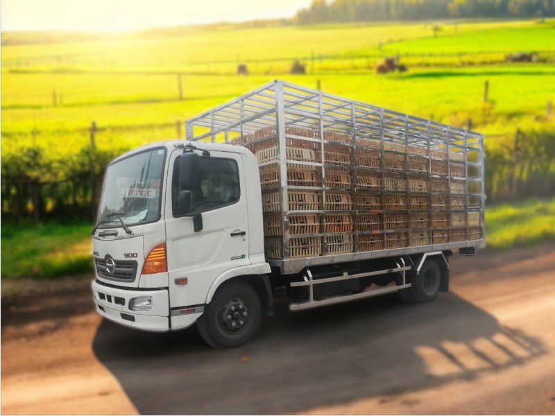 XE TẢI HINO FG8JT7A 6 TẤN THÙNG CHỞ GIA CẦM - Ảnh 3