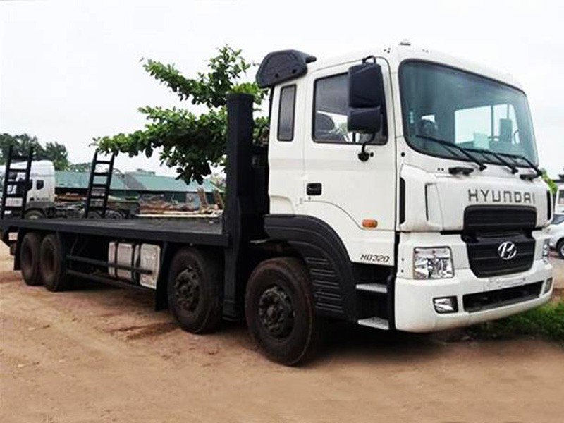XE TẢI HYUNDAI HD320 NÂNG ĐẦU CHỞ MÁY CHUYÊN DÙNG