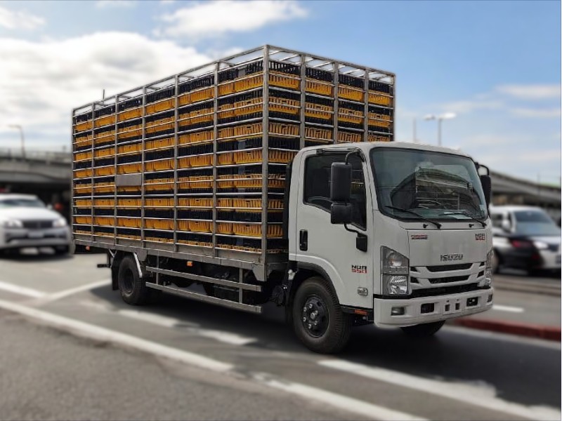 xe-tai-isuzu-nqr75me4-3-2-tan-cho-ga-vit-con-ngoai-that