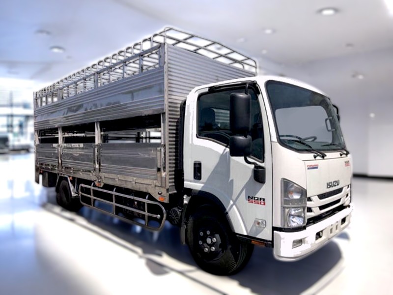 XE TẢI ISUZU NQR75ME4 4.5 TẤN CHỞ GIA SÚC - Ảnh 3
