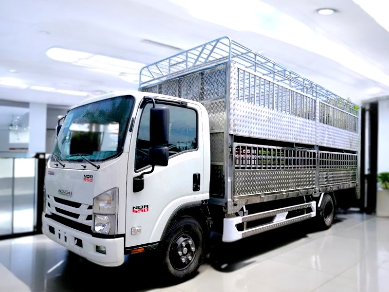 XE TẢI ISUZU NQR75ME4 4.5 TẤN CHỞ GIA SÚC